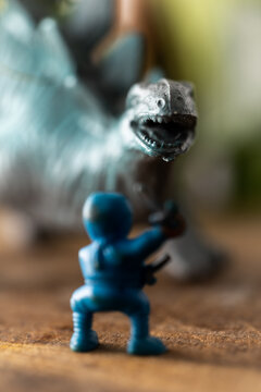 Tiny ninja figurine with a stegosaurus toy.