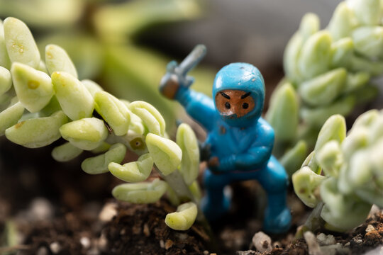 Tiny ninja figurine with a stegosaurus toy.