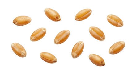 Obraz premium A scattered arrangement of wheat kernels showcasing natural texture and detail on transparent background high quality