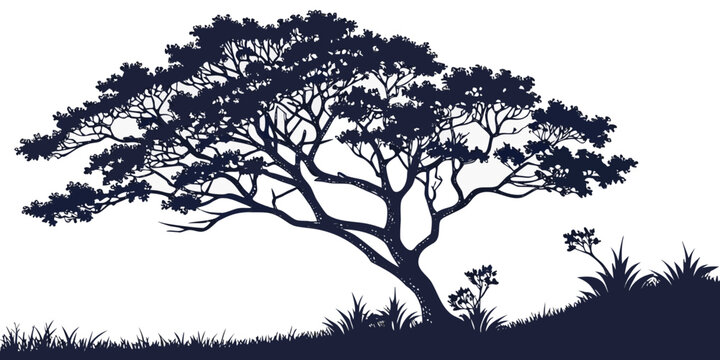 A large tree with many branches and leaves on a hill