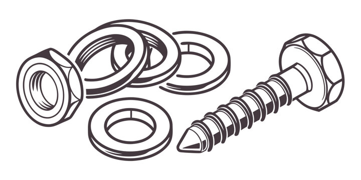 Assorted screws, bolts, and washers displayed on a white background