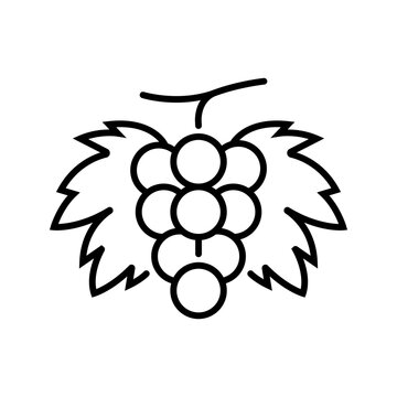 Grape bunch icon. Food and fruit line symbol. Black and white.