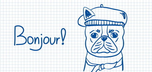 Hand-drawn blue ink doodle sketch of an adorable french bulldog wearing a beret and scarf saying bonjour. Funny dog on grid notebook paper. © Aliaksandra