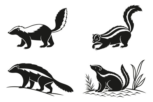 Minimalist black and white zorilla icons set in various poses and actions