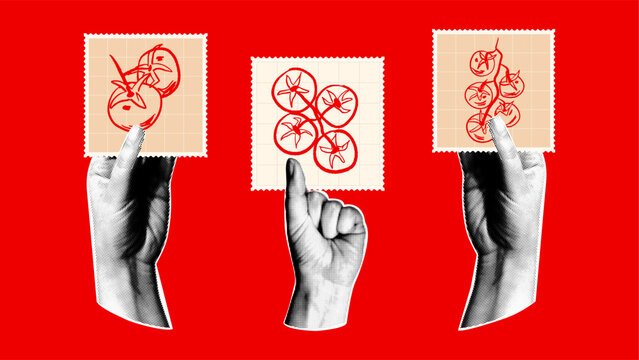 Halftone hands holding  postage stamps with red  tomato sketches. Retro collage design