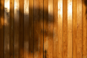 Golden Padauk Wood Door with Tree Shadow Sunlight