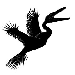 Obraz premium black silhouette Ichthyornis on a white backgrounk vector