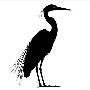 black silhouette heron on a white backgrounk vector