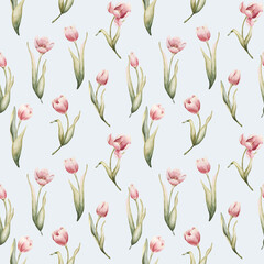 Obraz premium Pink Tulip Seamless Pattern Spring Garden Bulbs Flower. Watercolor hand drawn floral illustration isolated on light blue
