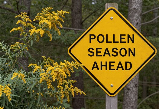 Se&ntilde;al de advertencia de temporada de polen en un entorno boscoso.