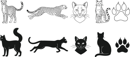 Black and white cat including cheetahs and paw prints line silhouette © Md