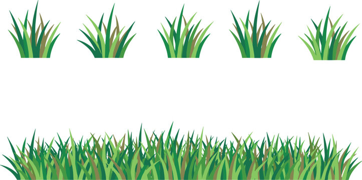 Vector illustration of green grass clumps and dense strip representing nature, landscape, garden, ecology, and decorative outdoor design