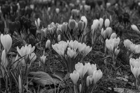Aarhus an der Ostsee in D&auml;nemark