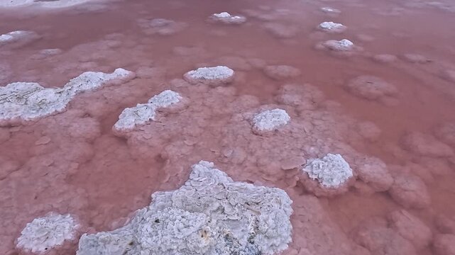 Kuialnyk Estuary, salt Sodium chloride crystallized on the bottom of a drying estuary, Odessa region, Ukraine