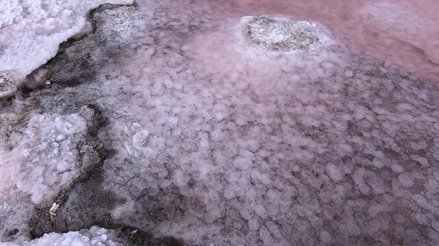 The Kuyalnik Estuary in the Odessa Oblast, Ukraine: black dust deposited on the shoreline covered with white table salt crystals of sodium chloride (NaCl)