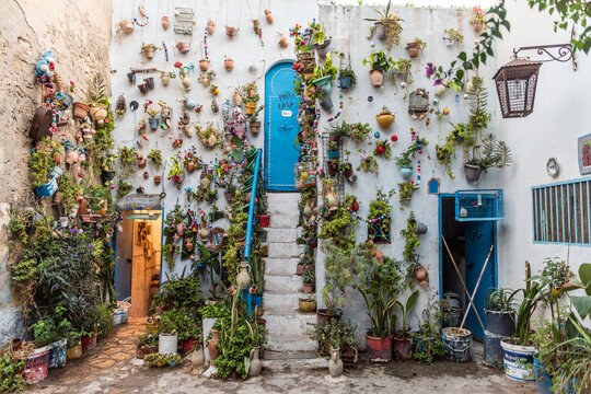 Amazing floral decoration of tiny house in Sousse, Tunisia