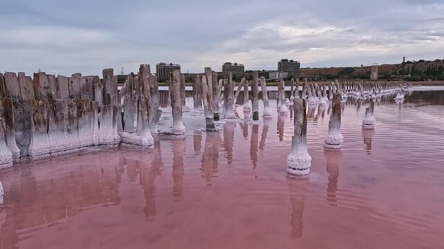 Kuyalnik Estuary, remnants of 18th-century saltworks, self-precipitated salt deposits on the bottom of the water body and old wooden structures during a dry summer