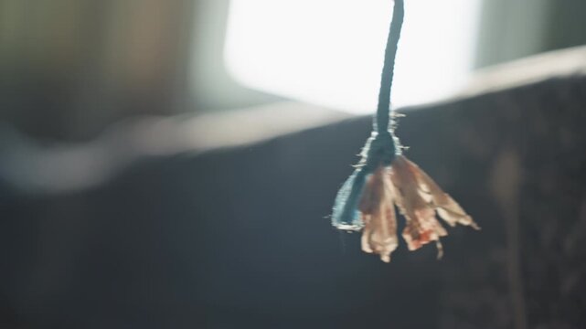 Sunlit hanging tassel in window delicate dried petals on frayed cord, shallow depth of field, warm backlight with soft bokeh and muted vintage tones, intimate quiet mood and rustic interior detail
