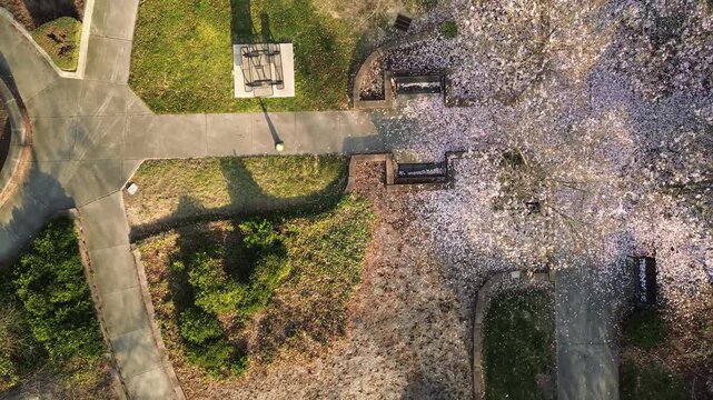 Aerial view of Capitol Park in Raleigh North Carolina with Springtime tress in bloom