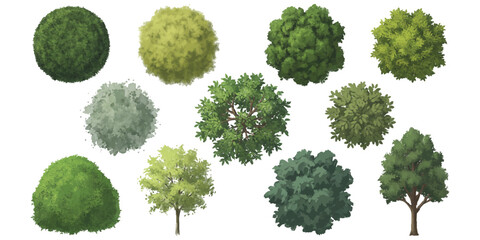 Collection of painted top view green trees and foliage for architectural landscape design © ZenVectors