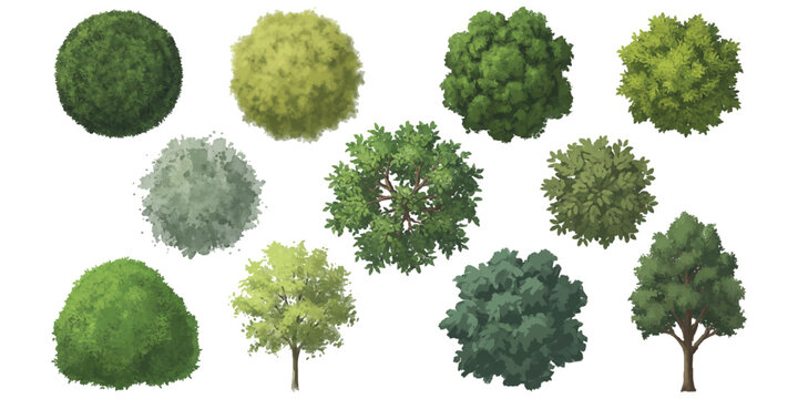 Collection of painted top view green trees and foliage for architectural landscape design