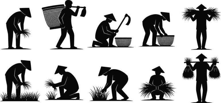 Rice farming silhouettes, agricultural workers, traditional cultivation, planting rice, harvesting crops, carrying baskets, bundling stalks, conical hats, Asian agriculture, rural labor