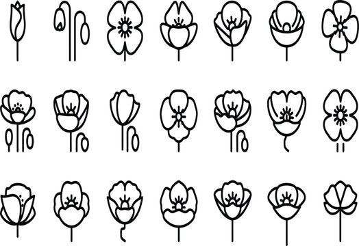 A collection of 20 unique flower silhouettes in various stages of bloom showcasing different shapes and structures silhouette