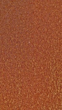 Rustic Textured Background Surface Detail Color Patterns Rich Earthy Tones