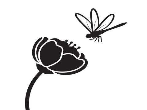 Beautiful flower and dragonfly silhouette for whimsical nature and summer designs