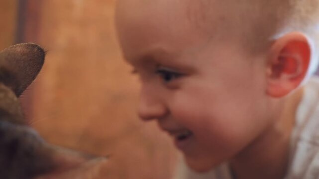 Curious white boy peers at cat, touching whiskers and grinning with wonder cozy indoor scene with warm wooden backdrop and soft sunlight highlighting intimate childpet bond and candid emotion