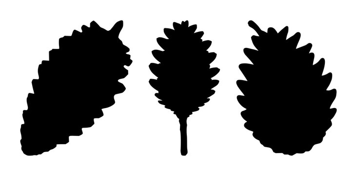 Pinecone silhouette set with simple black line illustration featuring pinecone, nature, tree with evergreen and conifer