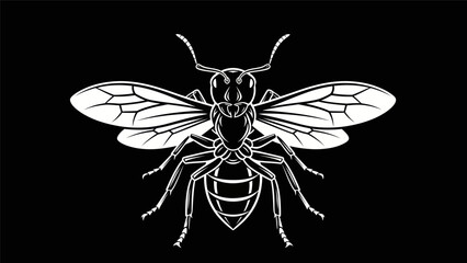 Fototapeta premium Insect illustration on black background