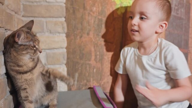 Young boy pats tabby cat playfully, reaching for gentle highfive gesture while cat watches from perch against brick wall, warm sunlight and shadow, joyful training interaction and childhood amusement