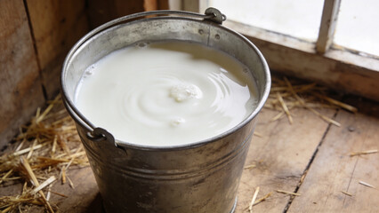 Fototapeta premium Milk in a metal bucket.