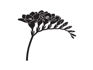 Beautiful freesia stem silhouette for fresh garden and fragrance themed projects © Saad