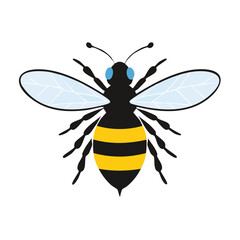 Fototapeta premium Cartoon Honey Bee with Black and Yellow Stripes Wings and Blue Eyes