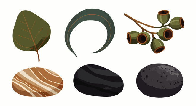Collection of natural elements: eucalyptus leaves, gumnuts, and smooth spa stones. Botanical and geological objects for wellness and decoration.