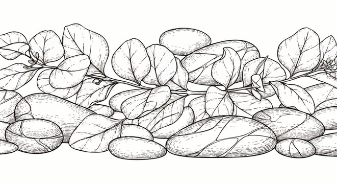 Seamless border illustration of smooth river stones and lush green leaves, hand-drawn in a minimalist black and white sketch style.