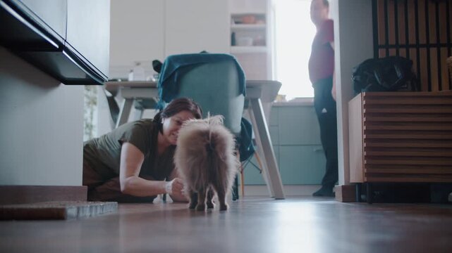 Brown pomeranian dog playing with owner on kitchen floor at home