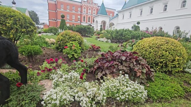 Black sheep is grazing in a garden with flowers and bushes. The garden is well-maintained and has a peaceful, serene atmosphere in Murom