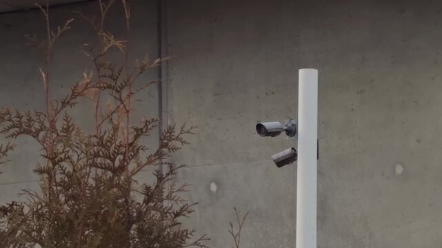 Security camera affixed on white pole observing over wall and surrounding plants