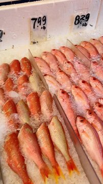 Fresh red snapper fish displayed on ice at market. Close-up top view of rows of red snapper fish arranged on crushed ice with price tags.