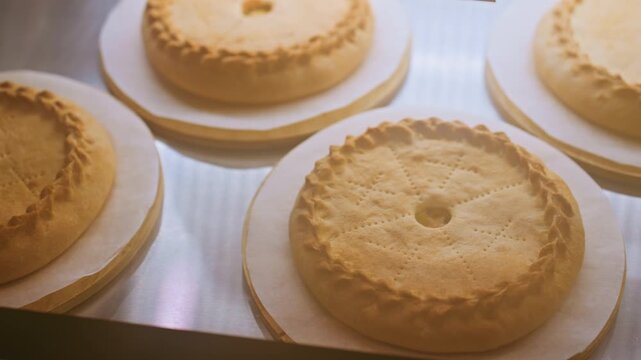 Golden sponge cakes on display shelf, evenly baked tops and soft crumb texture under warm bakery lights, simple plain desserts arranged on trays, slow pan reveals cozy morning bakery mood