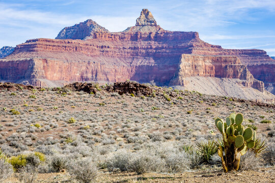 Zoroaster Temple Butte in Grand Canyon National Park Arizona