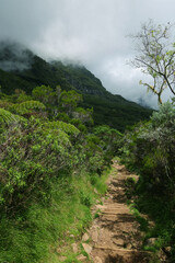 Fototapeta premium Scenic cloudy landscape of the path of La Nouvelle Trekking, Reunion Island, France 