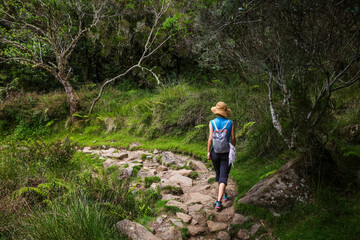 Obraz premium Scenic cloudy landscape of the path of La Nouvelle Trekking, Reunion Island, France 