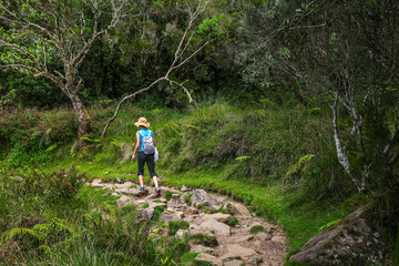Obraz premium Scenic cloudy landscape of La Nouvelle Trekking, Reunion Island, France