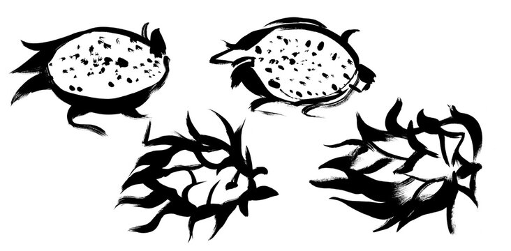 Set with illustration pttahaya tropical fruit silhouettes painted isolated on white in gouache for summer textile and surface design