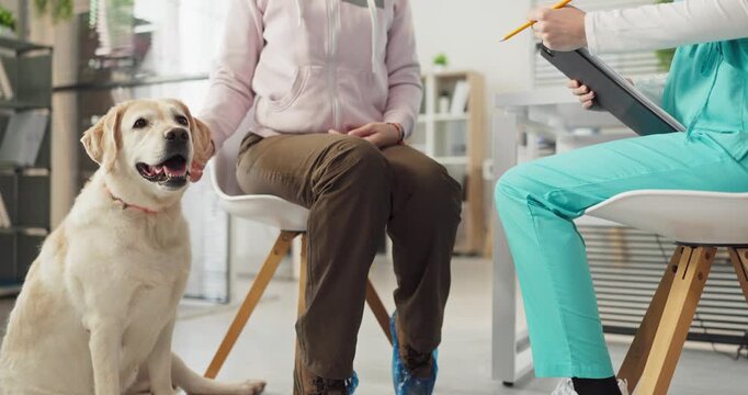 Vet dog labrador with veterinarian and nurse consultation. Retriever sits beside owner while the nurse writes notes and questions in a tidy clinic. Pet care, trust, and professional guidance.
