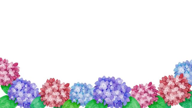 Watercolor Hydrangea Loop Background Animation,4k,Copyspace-梅雨 水彩タッチのアジサイ揺れる癒しループ動画 / デスクトップ・スマホ、背景素材動画、4k高画質、コピースペースあり
